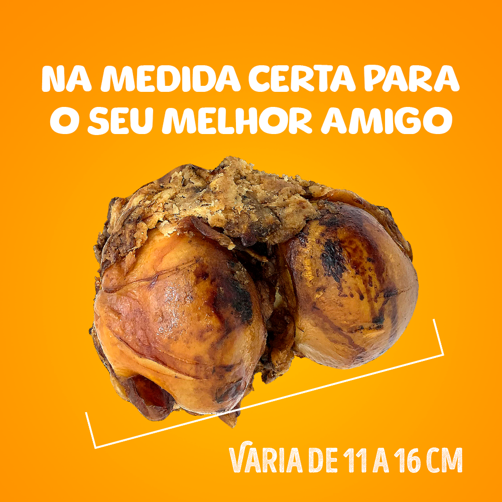 CABEÇA DO FÊMUR DEFUMADO