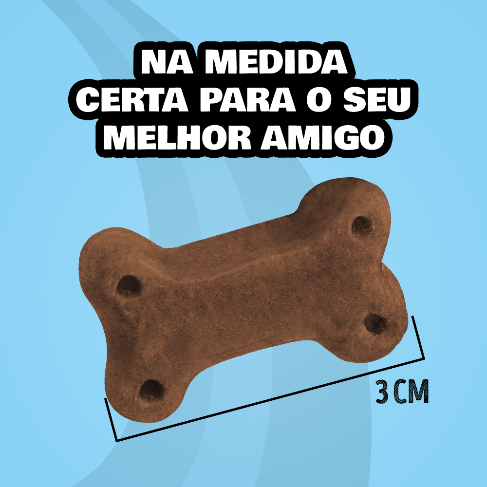 PETISQUINHO SABOR CHURRASCO
