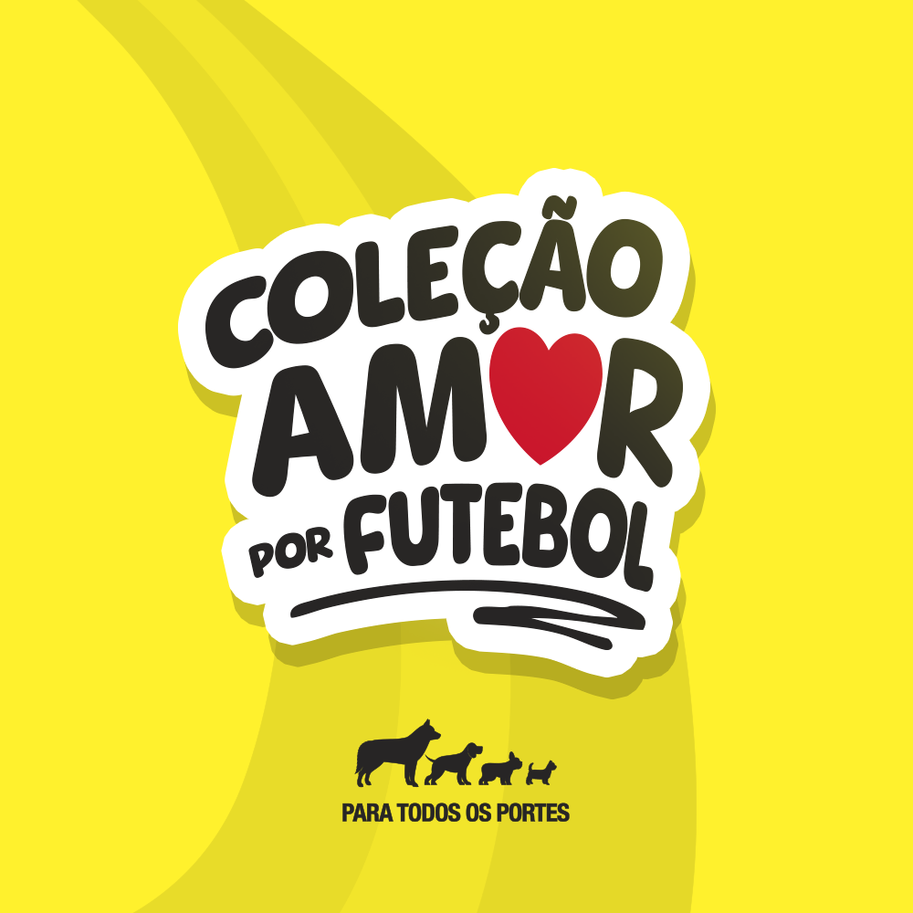 PETISQUINHO SABOR PICANHA
