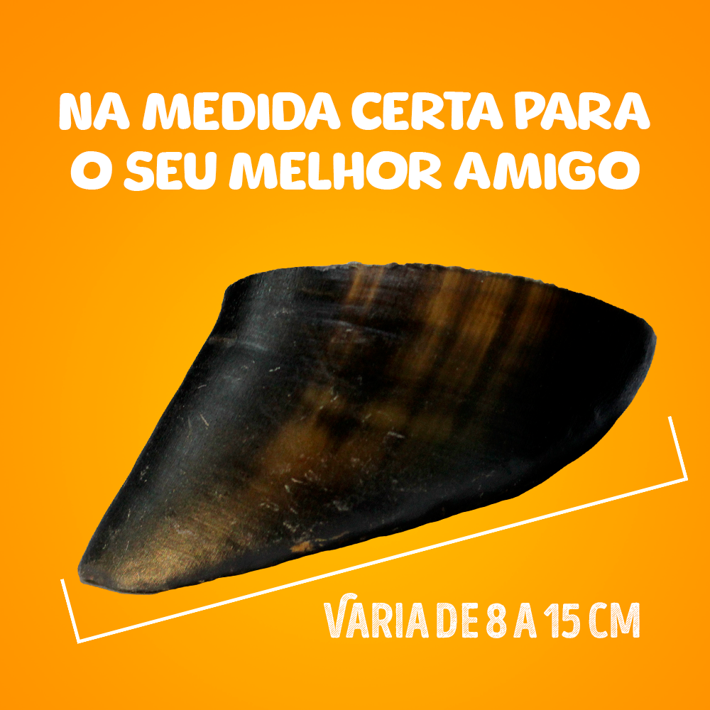 CASCO BOVINO