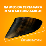 CASCO BOVINO