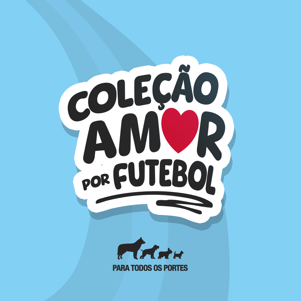 PETISQUINHO SABOR CHURRASCO