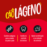 CÃOLÁGENO CARNE